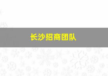 长沙招商团队