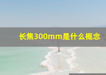 长焦300mm是什么概念