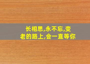 长相思,永不忘,变老的路上,会一直等你