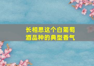 长相思这个白葡萄酒品种的典型香气