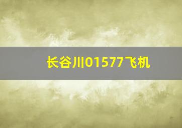 长谷川01577飞机