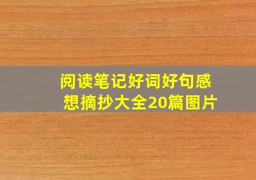 阅读笔记好词好句感想摘抄大全20篇图片