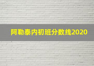 阿勒泰内初班分数线2020