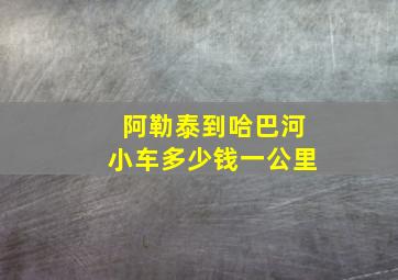 阿勒泰到哈巴河小车多少钱一公里