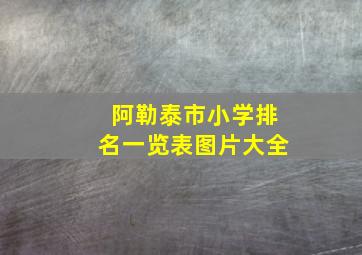 阿勒泰市小学排名一览表图片大全