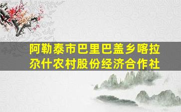 阿勒泰市巴里巴盖乡喀拉尕什农村股份经济合作社