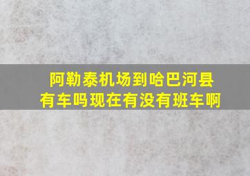 阿勒泰机场到哈巴河县有车吗现在有没有班车啊