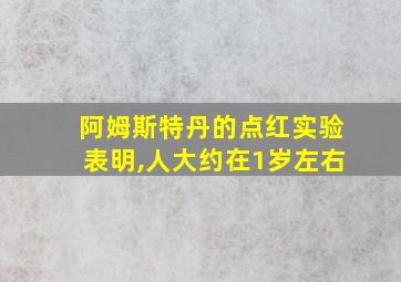 阿姆斯特丹的点红实验表明,人大约在1岁左右