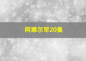 阿娜尔罕20集