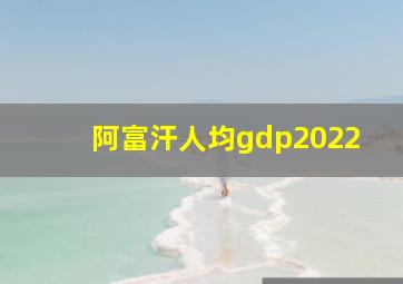 阿富汗人均gdp2022