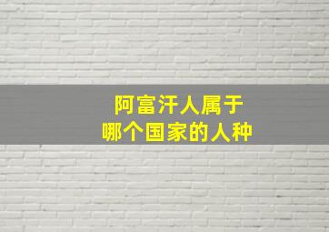 阿富汗人属于哪个国家的人种