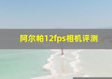 阿尔帕12fps相机评测