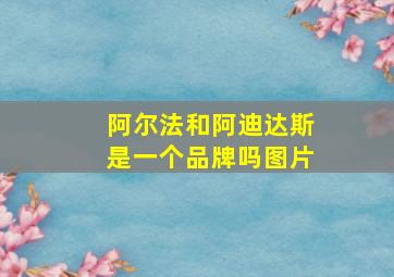 阿尔法和阿迪达斯是一个品牌吗图片