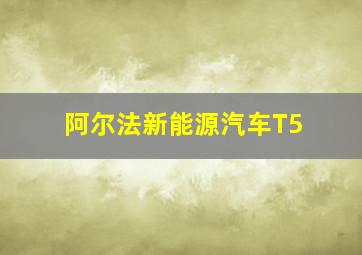 阿尔法新能源汽车T5