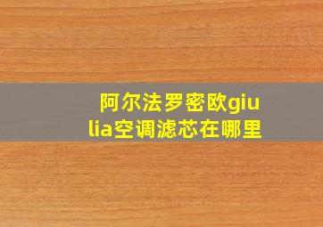 阿尔法罗密欧giulia空调滤芯在哪里