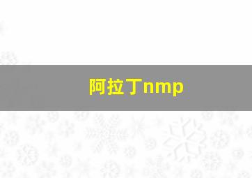 阿拉丁nmp