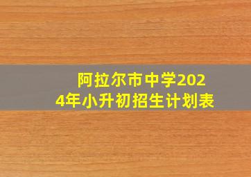 阿拉尔市中学2024年小升初招生计划表