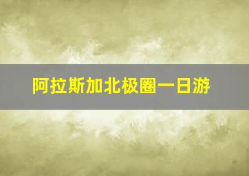 阿拉斯加北极圈一日游