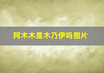 阿木木是木乃伊吗图片