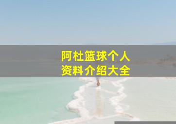 阿杜篮球个人资料介绍大全