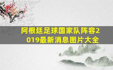 阿根廷足球国家队阵容2019最新消息图片大全