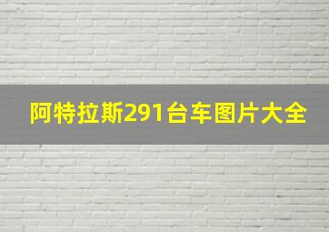 阿特拉斯291台车图片大全