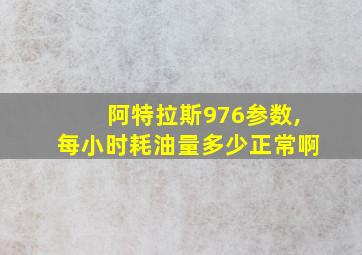 阿特拉斯976参数,每小时耗油量多少正常啊