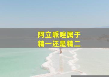 阿立哌唑属于精一还是精二