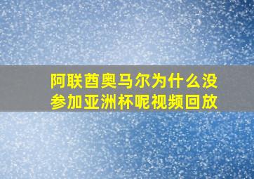 阿联酋奥马尔为什么没参加亚洲杯呢视频回放