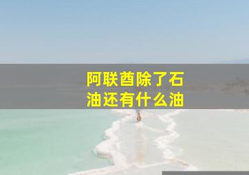 阿联酋除了石油还有什么油