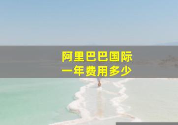 阿里巴巴国际一年费用多少