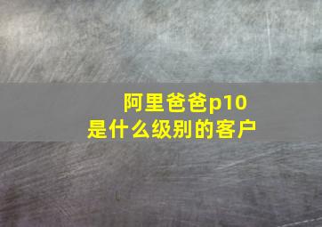 阿里爸爸p10是什么级别的客户