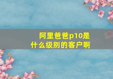 阿里爸爸p10是什么级别的客户啊