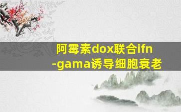 阿霉素dox联合ifn-gama诱导细胞衰老