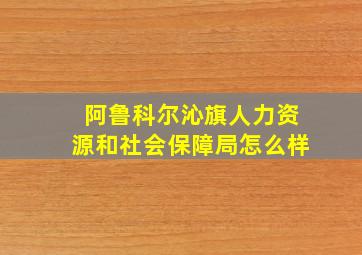 阿鲁科尔沁旗人力资源和社会保障局怎么样