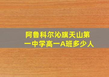 阿鲁科尔沁旗天山第一中学高一A班多少人