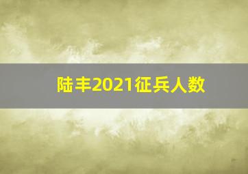 陆丰2021征兵人数