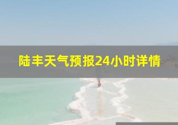 陆丰天气预报24小时详情