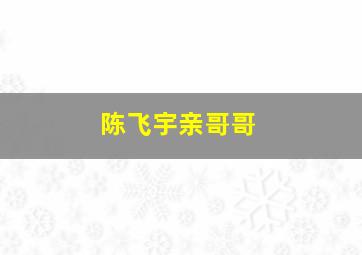 陈飞宇亲哥哥