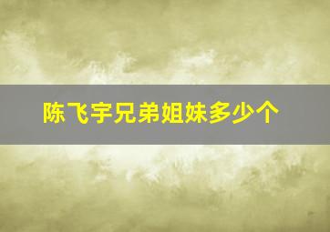 陈飞宇兄弟姐妹多少个