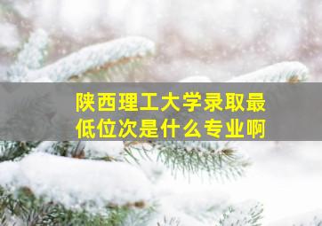 陕西理工大学录取最低位次是什么专业啊