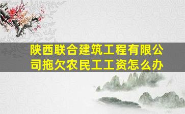 陕西联合建筑工程有限公司拖欠农民工工资怎么办