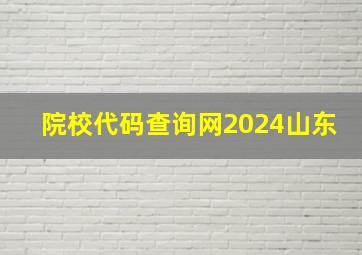 院校代码查询网2024山东