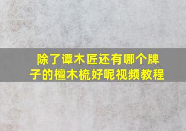 除了谭木匠还有哪个牌子的檀木梳好呢视频教程