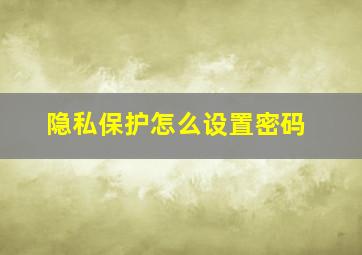 隐私保护怎么设置密码