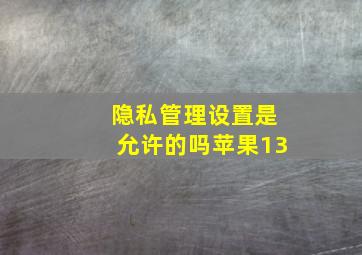 隐私管理设置是允许的吗苹果13