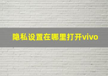 隐私设置在哪里打开vivo