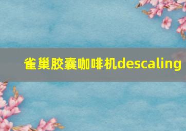 雀巢胶囊咖啡机descaling