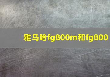 雅马哈fg800m和fg800