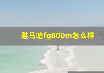 雅马哈fg800m怎么样